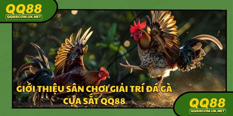 Đá gà cựa sắt là bộ môn giải trí quen thuộc nhà cái