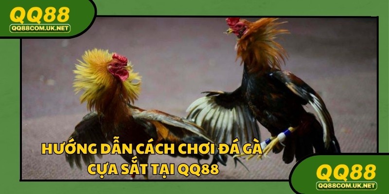 Luật lệ và cách tính thưởng đá gà cựa sắt qq88 cực dễ