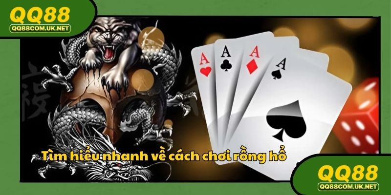 Nhập môn cách chơi rồng hổ dễ hiểu nhất