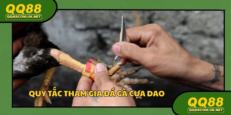 Quy tắc tham gia đá gà cựa dao được đưa ra rõ ràng