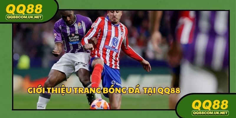 Xem trực tiếp bóng đá hôm nay là sự lựa chọn hàng đầu